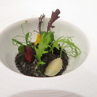 Grand rocher - 三色の人参　ジャガイモピューレ　竹炭とスパイスのクランブル