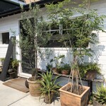 ザ デイ コーヒ ースタンド - 