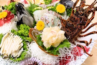 h Sangoshou - ＜黒潮活造り大皿盛り＞新鮮の極み！本場紀州の活伊勢海老・アワビ・旬の活魚の活姿造り大皿盛りです。
