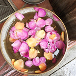 三燈舎 - 今日の水盤