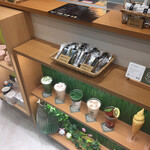 MYOKOEN TEA STORE - 