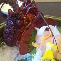 生簀割烹　海幸 - お祝いなので伊勢海老のお造りを追加しました