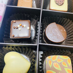 GODIVA - 