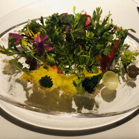 レフェルヴェソンス - 