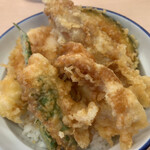 Tendon Tempura Hompo Santen - 