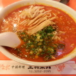 生駒菜館 - 坦々麺