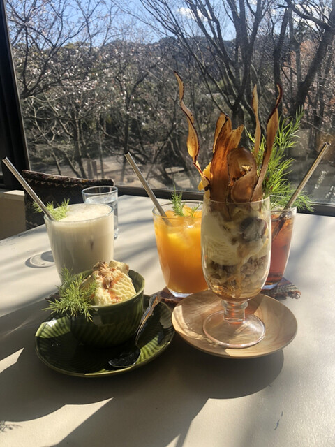 青島ハンモック 子供の国 カフェ 食べログ