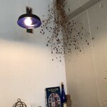 アンロビ - 店内