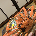 海の宿 山根屋 - 