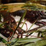 肉屋 田中 - 伊勢海老