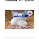 ラッテリア ベベ  カマクラ - 