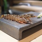 Gotanda Sushi Sushi Toukyou Eitowan - 活車海老