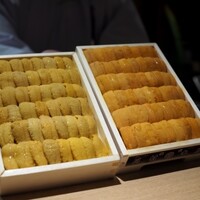 五反田鮨 SUSHI TOKYO 81 - エゾバフンウニ（根室）とムラサキウニ（宮城）