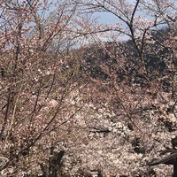 草喰 なかひがし - 