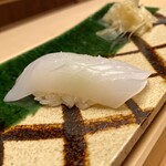 山の井 - アオリイカ