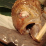 肴 大富 - ノドグロほんまにに喉が黒い！