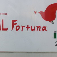 アルフォルトゥーナ - 