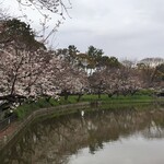 Ooichou - 名城公園