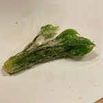 お座敷 天婦良 あやめ - コシアブラ