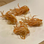 お座敷 天婦良 あやめ - 車海老のくも足