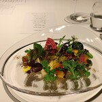 レフェルヴェソンス - 