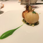 レフェルヴェソンス - 