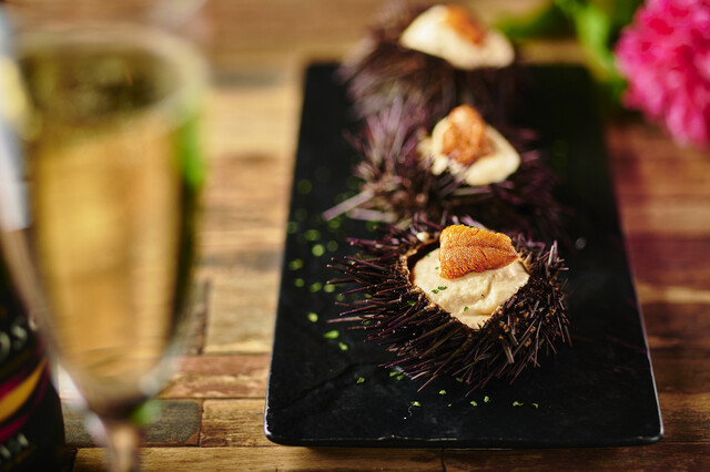 魚とワイン はなたれ Onikai - 桜木町/バル・バール | 食べログ