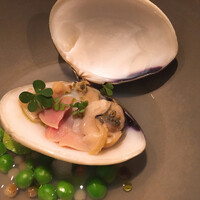 セルサルサーレ - 