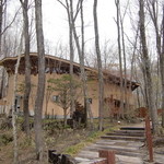 森の中のレストラン こどう - 