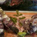 亀喜寿司 - シャコ海老 (内子持ち。サイズ大、湯がきたて)