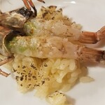 アル・ケッチァーノ - ◇「がさ海老のリゾット」