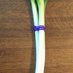 ディオ - 白ネギ(税抜)73円 (2020.04.03)