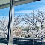 L'art et Mikuni - 座席から見る桜