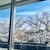 ラー・エ・ミクニ - 座席から見る桜