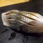 鮨 はしもと - コハダ