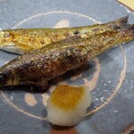 鮨 はしもと - モロコ