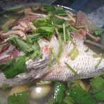 Sushi Dining 旬魚 - 