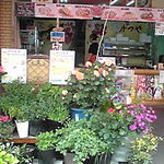 Mitsuya - 満開に咲いている花々
