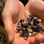 ロス タコス アスーレス - 