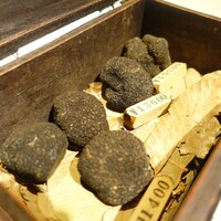 マルゴット エ バッチャーレ - 