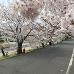  IN THE GREEN - 北山橋北側(2020.4.3)