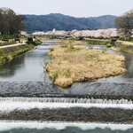  IN THE GREEN - 賀茂川と北山橋北側(2020.4.3)