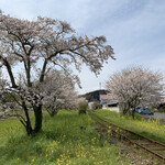 Take noko - 桜が満開だった最寄駅の総元駅。