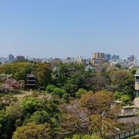 イル・テアトロ - 