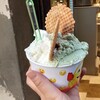 Gelateria Brivido - 料理写真:ピスタチオとココナッツ