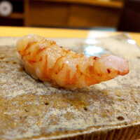 鮨 いとう - 車海老の昆布締め。反り返る鮮度！ 海老の甘みと昆布の旨味が共鳴、これは凄い