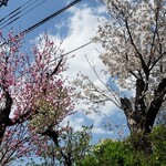 ふるさと両神　両神コンニャク専門店 - たくさん写真撮りまくっちゃったよーん☆