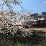 カフェカブトヤマ - 桜と阪急電車