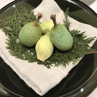 アニエルドール - 