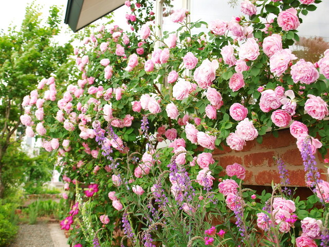 ガーデンカフェ&デリカ キモト（kimoto） - 羽後太田（惣菜・デリ）の写真